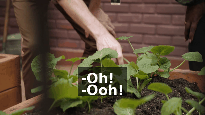 6254ce7c-ac74-471a-9bca-1c8de2c06339.gif