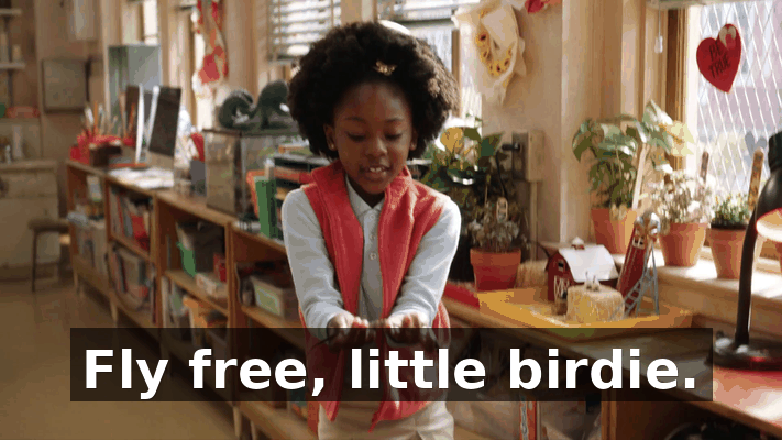 d289e7a5-7c95-4bd4-ab80-7378a408490b.gif