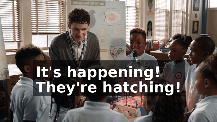 43b37eb1-1b69-4308-8e86-8502a1808cd3.gif
