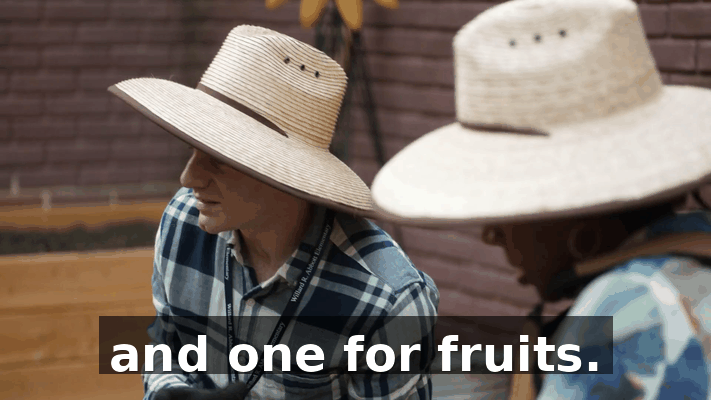 e735bf70-7762-4f5c-964e-a09fe5177b35.gif