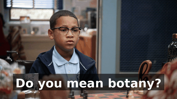 7ed6c6ae-6221-4b7d-b8bb-b6cb56a32d82.gif