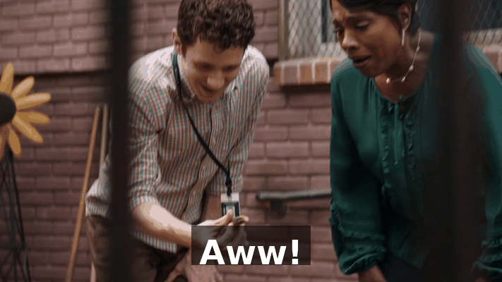 36a824ff-1597-4c5b-8b0b-b4c9d76c66db.gif