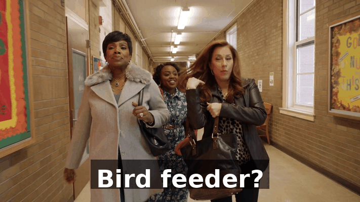 6f394564-3594-434d-8fee-5c17c43152a8.gif