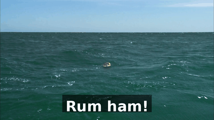 0dc740b5-7cbc-4e0b-a072-51cb6483e17f.gif