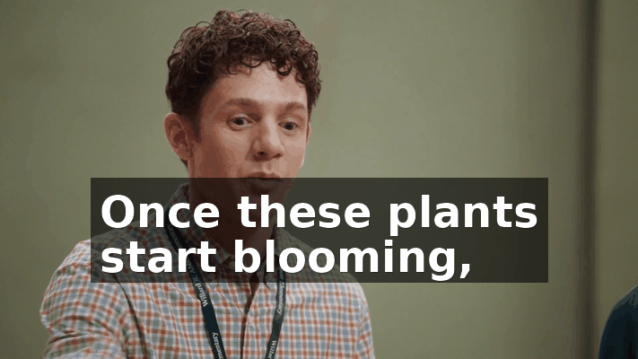 ae322a38-d0c2-4442-bec0-b151603f0c8d.gif