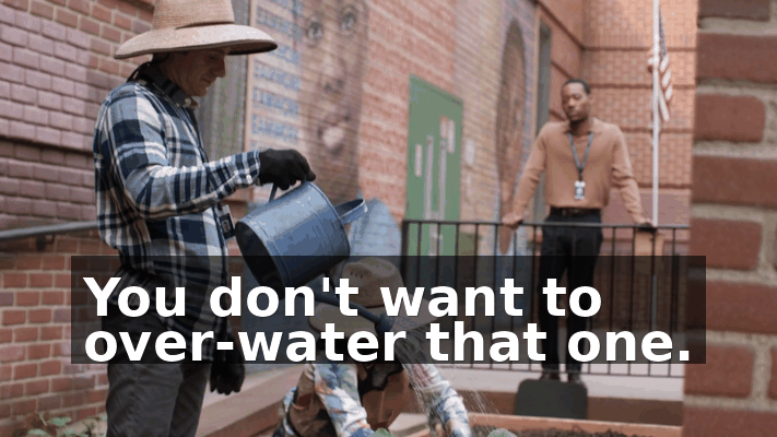 90fbaa0c-8bb0-4394-9850-a8b767d73619.gif