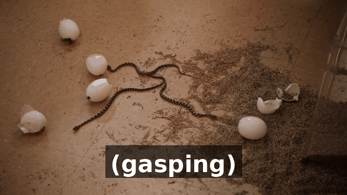 a2fda189-09ba-4b91-929c-414e4df58ba3.gif