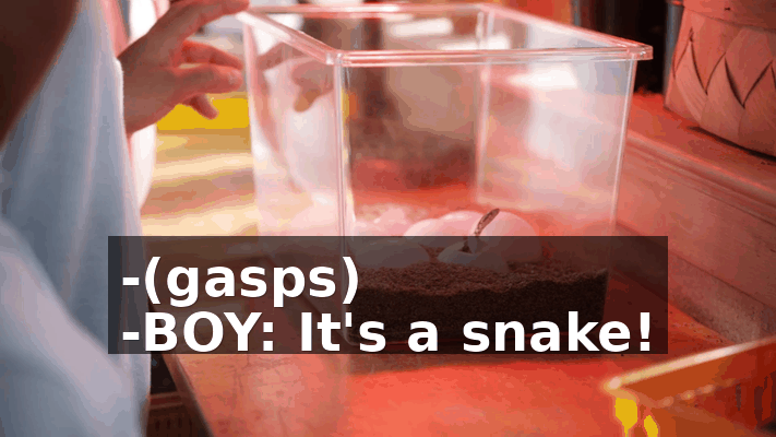 06fd35ca-7258-48ad-8596-d4db023e817e.gif
