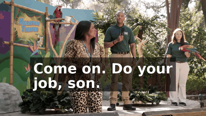 0c52970f-eb36-4f88-b11d-7d17d2d46e4d.gif
