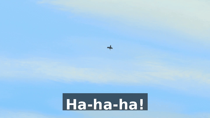 7b8f9938-14b8-431a-a719-74d42eb8ad37.gif
