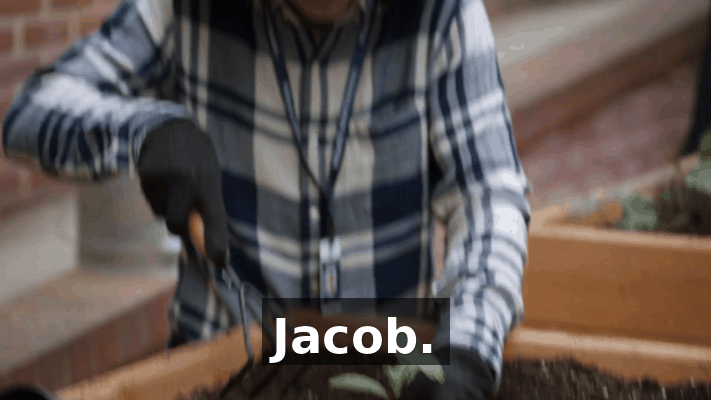 95acfb2f-c71a-43cf-95d3-c4c95bddafea.gif