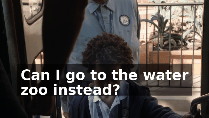 8427caf6-80e2-4972-8161-02628f913a69.gif