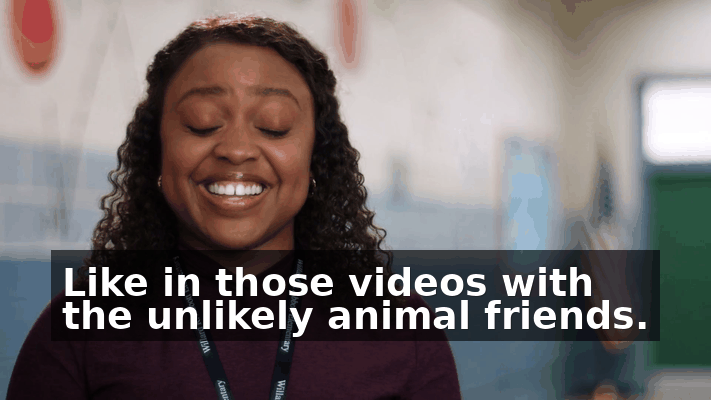 fdc2b648-4213-4ee9-a9cb-dacae0077f23.gif