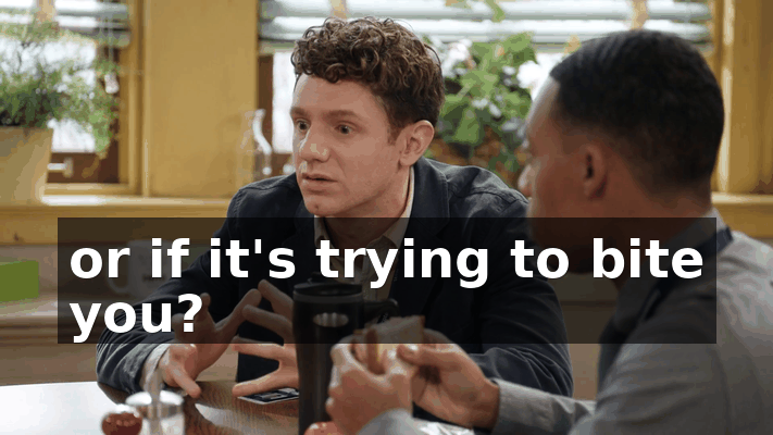 b7c497d8-a448-4387-934d-de29918b6761.gif