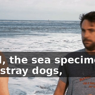 00851ad4-7fad-4e63-bfcd-6ece2f83c8b4.gif