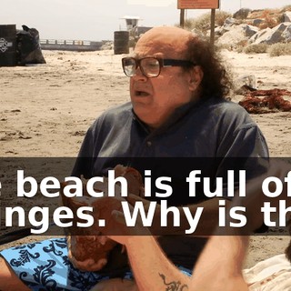 0156fd0e-69e9-495e-b172-bb17d11a5681.gif