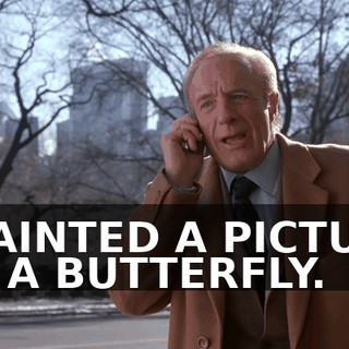 I PAINTED A PICTURE OF A BUTTERFLY.