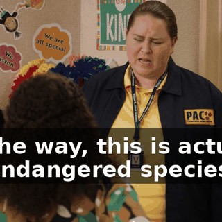 By the way, this is actually an endangered species.