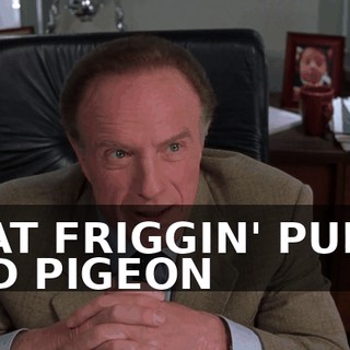 THAT FRIGGIN' PUPPY AND PIGEON