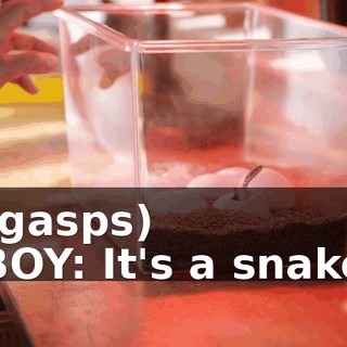 06fd35ca-7258-48ad-8596-d4db023e817e.gif