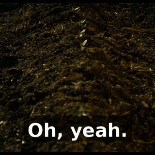 Oh, yeah.