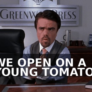 WE OPEN ON A YOUNG TOMATO.