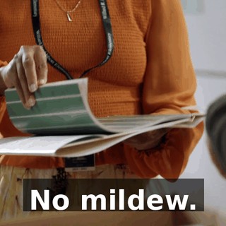 No mildew.