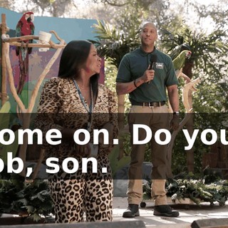 Come on. Do your job, son.