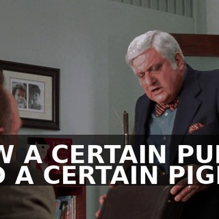 HOW A CERTAIN PUPPY AND A CERTAIN PIGEON