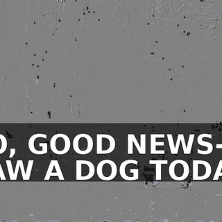 SO, GOOD NEWS-- I SAW A DOG TODAY.
