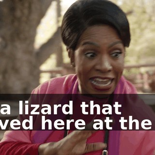 It's a lizard that arrived here at the zoo