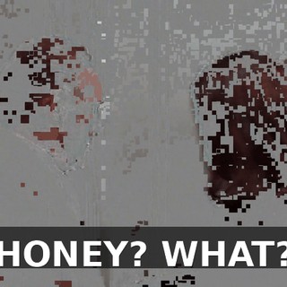 HONEY? WHAT?