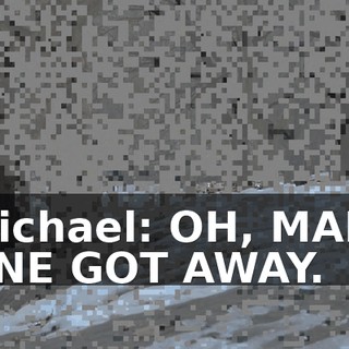 Michael: OH, MAN. ONE GOT AWAY.