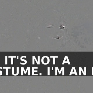 OH, IT'S NOT A COSTUME. I'M AN ELF.