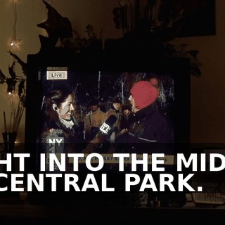 RIGHT INTO THE MIDDLE OF CENTRAL PARK.