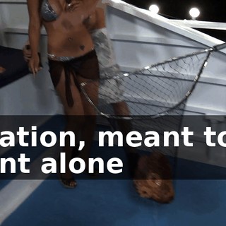 2bed7c91-2122-4c31-a66f-94bd0d61f202.gif