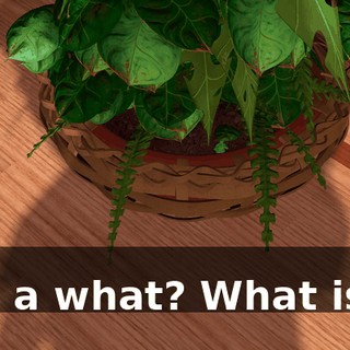- -It's a what? What is it?