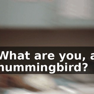 What are you, a hummingbird?