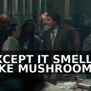 EXCEPT IT SMELLS LIKE MUSHROOMS,