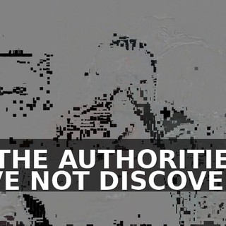 SO THE AUTHORITIES HAVE NOT DISCOVERED