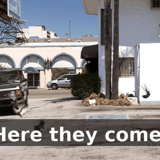 30828b32-b4a6-4e8b-b887-6026426220d2.gif