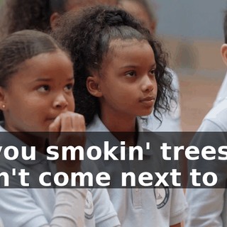 ♪ If you smokin' trees, don't come next to me ♪