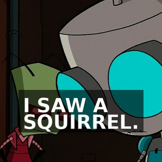 I SAW A SQUIRREL.
