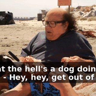 - What the hell's a dog doing here? - Hey, hey, get out of here!