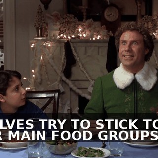 WE ELVES TRY TO STICK TO THE FOUR MAIN FOOD GROUPS--