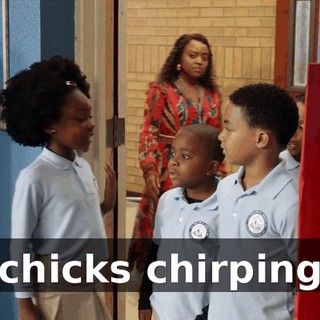 (chicks chirping)