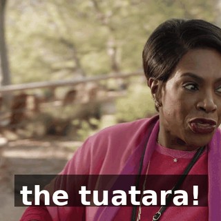 the tuatara!