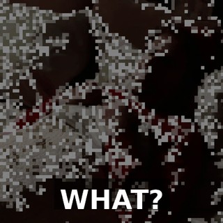 WHAT?