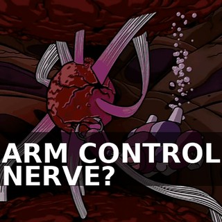 48e4e039-7915-4e7d-a0a7-a08f97f0ac0c.gif