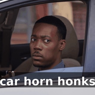 (car horn honks)